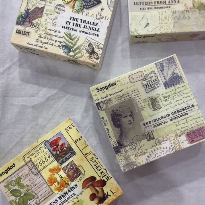 Washi Tape Box of 20 – Wilderness Remains