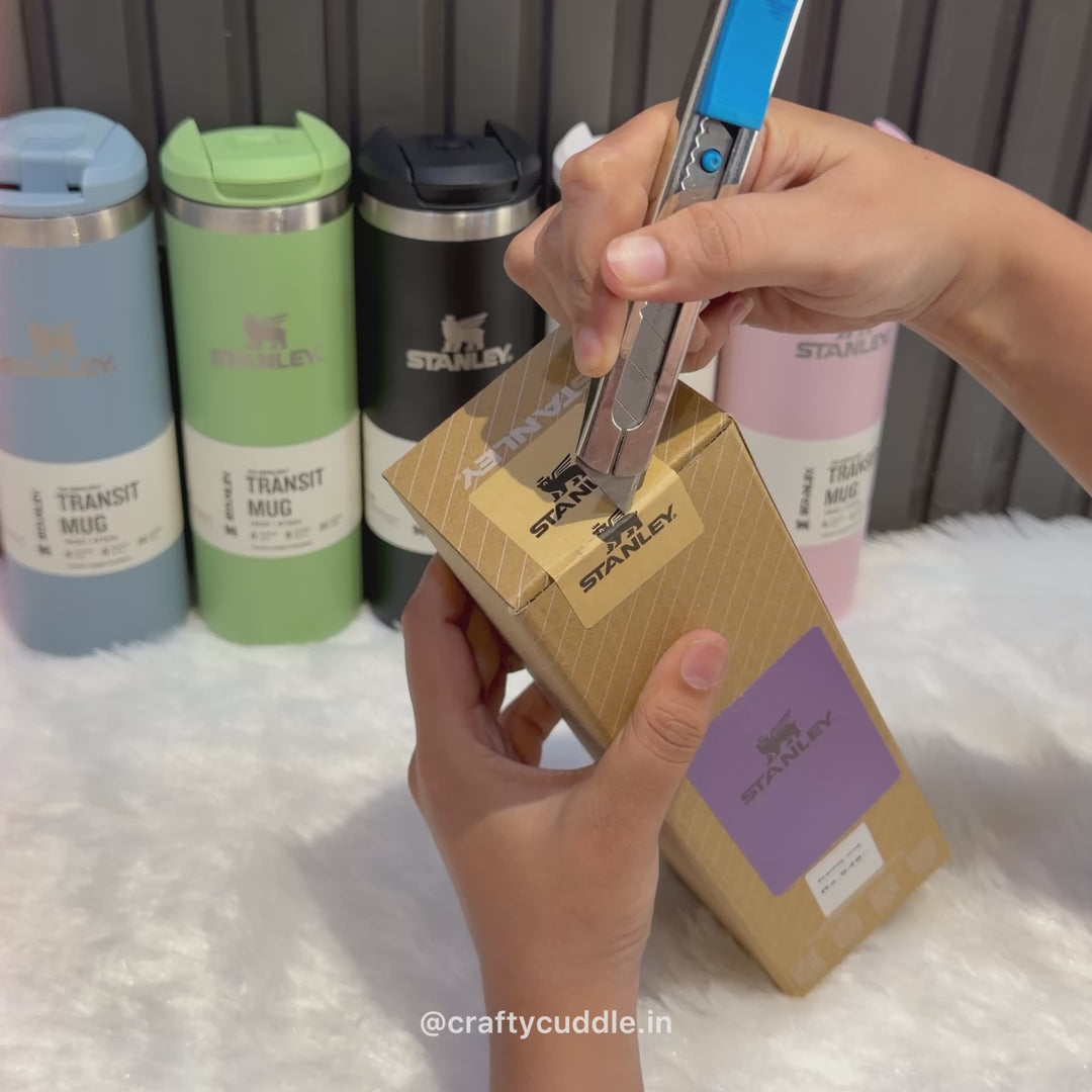 Pastel Stainless Steel Transit Mug