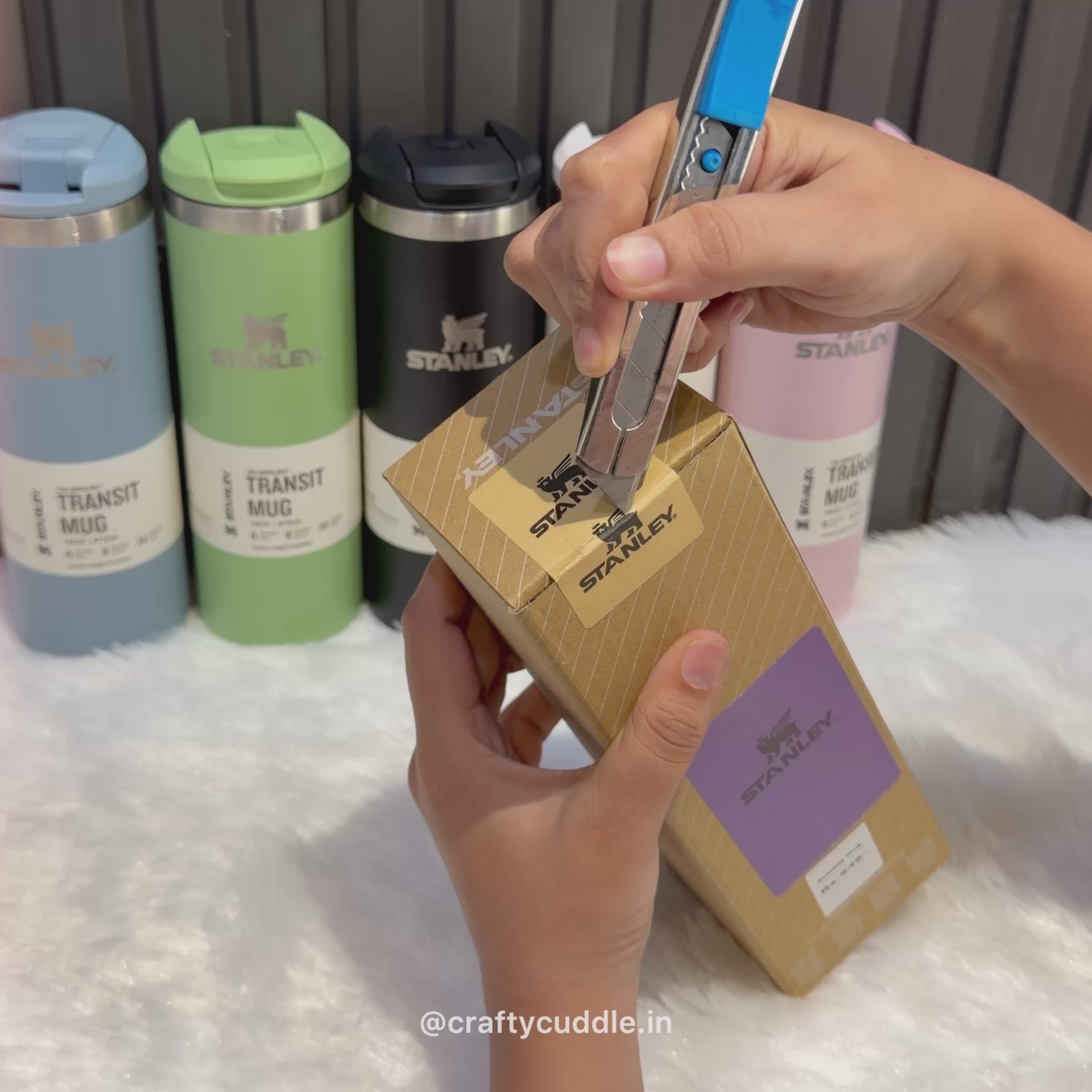 Pastel Stainless Steel Transit Mug
