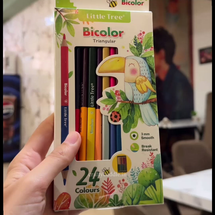 Bicolor Triangular Colour Pencils Pack of 12 (24 Shades)